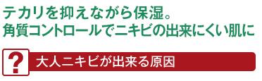 アクネバリア 薬用プロテクトローション 140ml×3本セット 化粧水 ≪購入金額別特典あり≫ ■正規品■医薬部外品 ニキビ オーガニック 無添加 石澤研究所 スキンケア ローション ティトリー ティートリー にきび ニキビ ニキビ跡 消し