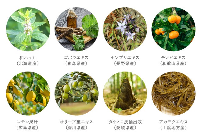 育毛剤 凜恋（リンレン） 薬用スカルプケア スカルプエッセンス ミント＆レモン 120mL 購入金額別特典あり 正規品 ヘアケア 天然 自然 ナチュラル 植物由来 成分 ノンシリコン クレンジング＆保湿 頭皮マッサージ 頭皮ケア 美容保湿成分 フラーレン配合 rinRen