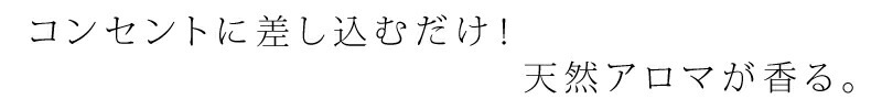 虫対策 plug aroma バズオフ プラグアロマ バズオフリキッド エクストラ セット 25ml オーガニック 正規品 天然 ナチュラル 自然 殺虫成分不使用 不快害虫 ユスリカ 室内用リキッド 火を使わない パーフェクトポーション PERFECT PORTION