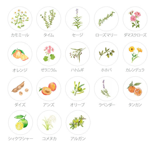 クレンジング 無添加 ママバター マイン クレンジングミルク 150ml 正規品 オーガニック ナチュラル ノンケミカル 自然 スキンケア 天然 MAMA BUTTER シアバター メイク落とし オレンジ ゼラニウム フレッシュな香り アロマ 洗顔