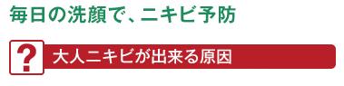 アクネバリア 薬用プロテクトウォッシュ 100g×3本セット 洗顔料 ≪購入金額別特典あり≫ ニキビ オーガニック 無添加 ■正規品■ 石澤研究所 医薬部外品 スキンケア 洗顔フォーム 洗顔 ティートリー にきび ニキビ ニキビ跡 消し