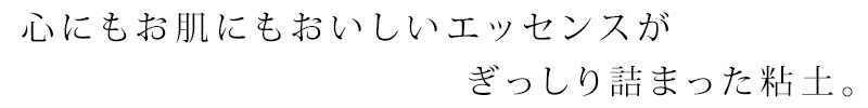 パック 無添加 ナイアード ガスール 固形 500g オーガニック 正規品 粘土パック スキンケア 天然 ナチュラル ノンケミカル 自然 クレイ
