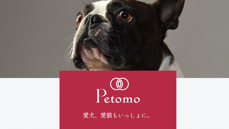 ペットも飲める甘酒 Petomo 麹から作ったやさしい甘酒 200g 正規品 保存料 無添加 赤米 白米 黒米 あま酒 ノンアルコール 砂糖不使用 優しい甘さ 犬用 猫用 ペット用 健康 栄養 発酵食品 ペットモ レッドライスカンパニー REDRICE COMPANY