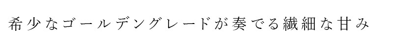 メープルシロップ 第3世界ショップ リックさんの有機メープルシロップ ゴールデン（デリケートテイスト） 正規品 有機JAS認証 カナダグレードA 繊細な風味 第三世界ショップ