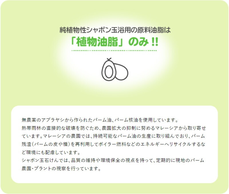 シャボン玉石けん 石鹸 純植物性シャボン玉浴用 100g 【シャボン玉石けん】 正規品 ナチュラル 香料、着色料、エデト酸塩・酸化防止剤、合成界面活性剤不使用 無添加石鹸 無添加石けん 固形石鹸