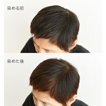 白髪染め 無添加 ナイアード ヘナ100％ （オレンジ～赤褐色） 400g オーガニック 正規品 ヘアケア 全体染め 天然 ナチュラル ノンケミカル 自然 ノンジアミン 自宅