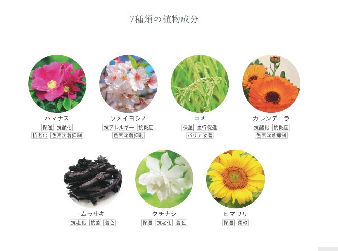 全身石鹸 無添加 リンカ オーガニック フェイス＆ボディソープ 90g  正規品 洗顔 天然成分100％ ボディケア ハマナスエキス アルコールフリー グリセリンフリー 天然 ナチュラル ノンケミカル 自然 シアバター RINKA