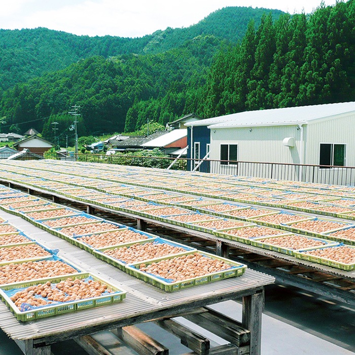 梅干し オーサワジャパン オーサワの龍神梅干 200g 正規品 保存料 無添加 紫蘇漬け梅 すっぱい梅 塩分約17％ 和歌山県産梅 和歌山県産紫蘇 農薬不使用 天日干し