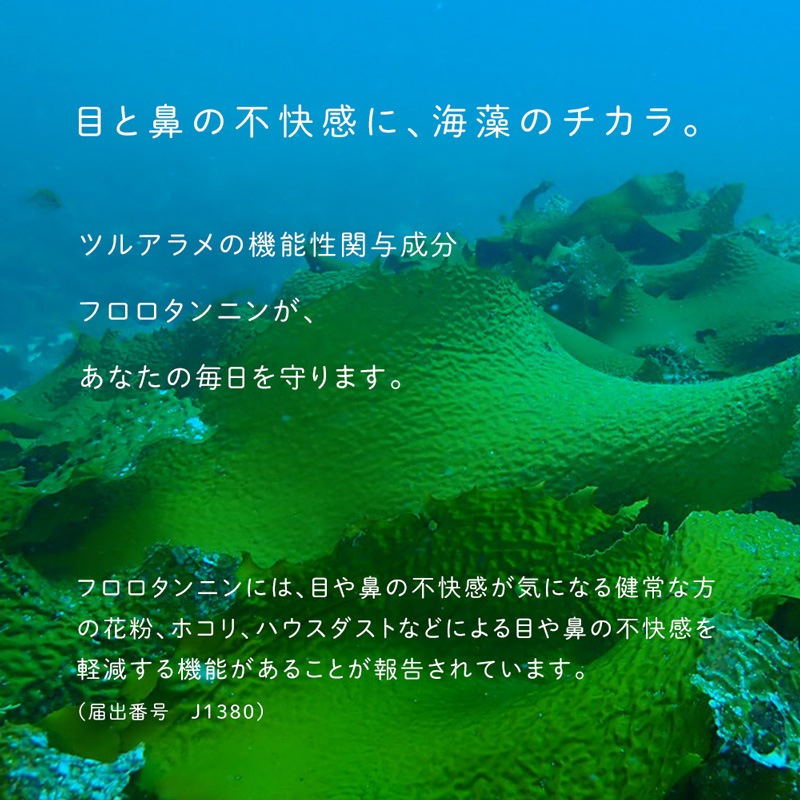 サプリメント だいじょうぶなもの 【機能性表示食品】隠岐の西ノ島産海藻 ツルアラメ 60カプセル 約1か月分 正規品 花粉・ホコリ・ハウスダスト対策 花粉症 アレルギー 添加物不使用 ツルアラメ100％ フロロタンニン