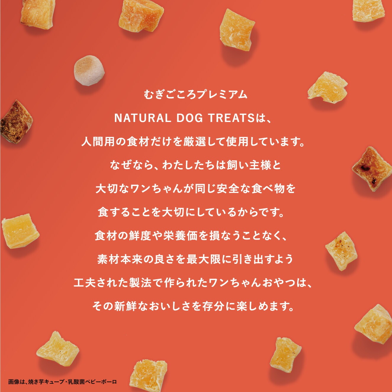 犬用おやつ むぎごころの無添加ワンちゃんおやつ 豚ガレット 50g 無添加  オーガニック 正規品 天然 ナチュラル ノンケミカル 自然 ドッグフード 犬 オヤツ