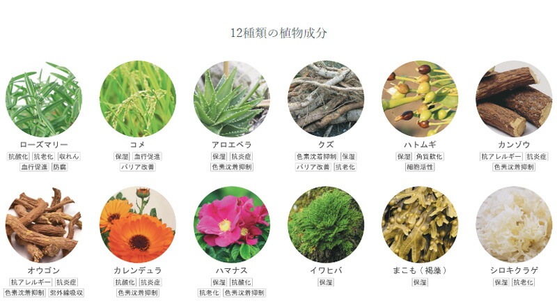 化粧水 無添加 リンカ オーガニック ミストローション 120ml  正規品 天然成分100％ 保湿ローション スキンケア フェイスケア ハマナスエキス アルコールフリー グリセリンフリー 天然 ナチュラル ノンケミカル 自然 さっぱり しっとり RINKA