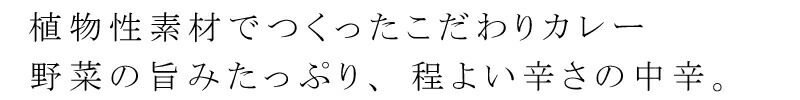 カレー 保存料 無添加 オーサワジャパン オーサワのベジカレー（中辛） 210g レトルトカレー カレーソース 正規品   保存料 無添加