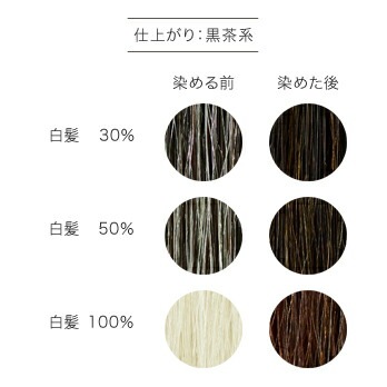白髪染め 無添加 ナイアード ヘナ＋木藍（黒茶） 400g オーガニック 正規品 ヘアケア 全体染め ノンシリコン 天然 ナチュラル ノンケミカル 自然 ノンジアミン 自宅