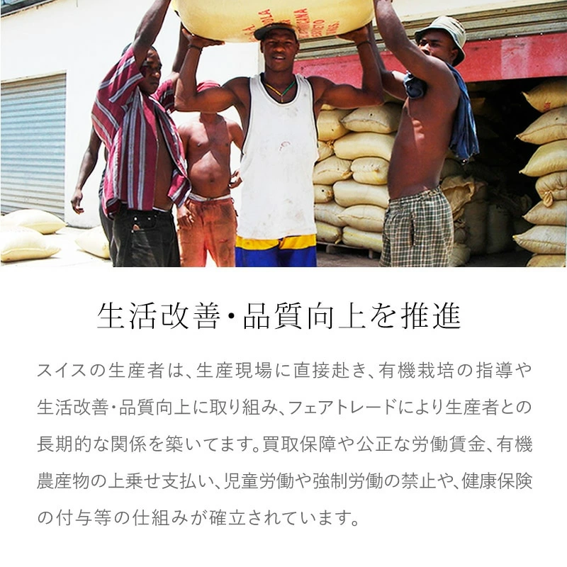 チョコレート オーガニック Artisan アートBOX フェアトレードミルクチョコレート 正規品 保存料 無添加   ノンケミカル 自然 アーティザン 有機チョコレート 第三世界ショップ