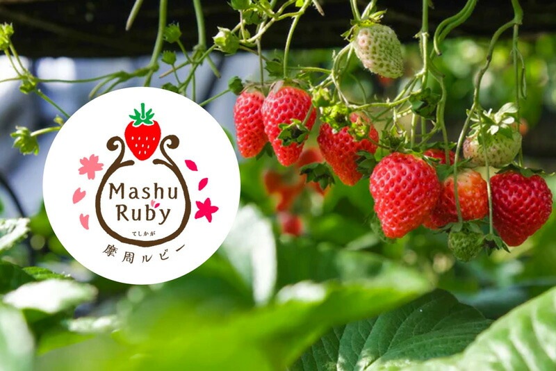 ジャム my Honey いちごジャム 摩周ルビー 150g 正規品 日本製 ハンガリー産アカシアはちみつ 非加熱生はちみつ 砂糖不使用 北海道産いちご 弟子屈町 低GI食品 マイハニー