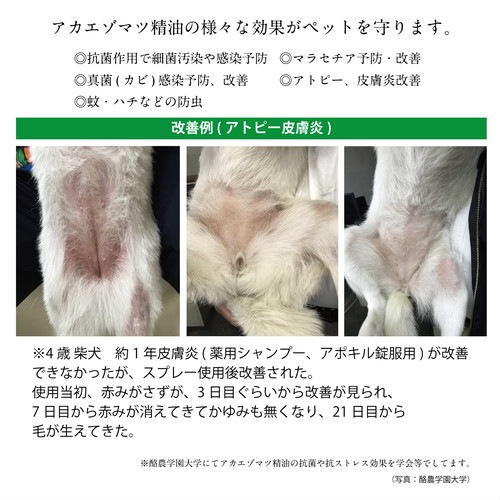 犬用スキンケアスプレー スキンプロテクトスプレー 120ml 無添加 無着色 ヘルシーアニマルズ 皮膚病 アトピー 犬用 オーガニック 正規品 天然 ナチュラル 自然