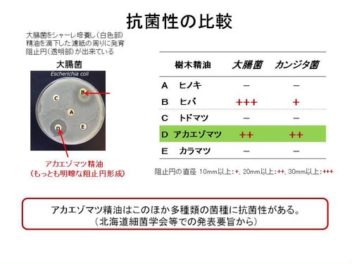 犬用スキンケアスプレー スキンプロテクトスプレー 120ml 無添加 無着色 ヘルシーアニマルズ 皮膚病 アトピー 犬用 オーガニック 正規品 天然 ナチュラル 自然