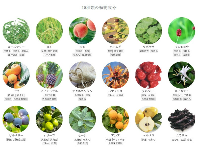 美容液 無添加 リンカ ユズ オーガニック ダブルエッセンス 60ml 正規品 天然成分100％ 2層式美容液 スキンケア フェイスケア 柚子 夏ミカン アルコールフリー グリセリンフリー 乳化剤不使用 天然 ナチュラル ノンケミカル 自然 さっぱり しっとり RINKA