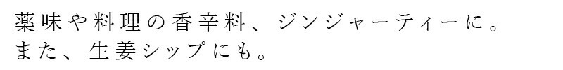 生姜粉末 ムソー 無双本舗 生姜粉末〈箱〉徳用 20g×12 ティーバック入り 正規品   保存料 無添加   生姜のみ 香辛料 生姜シップ オーガニック 有機しょうが