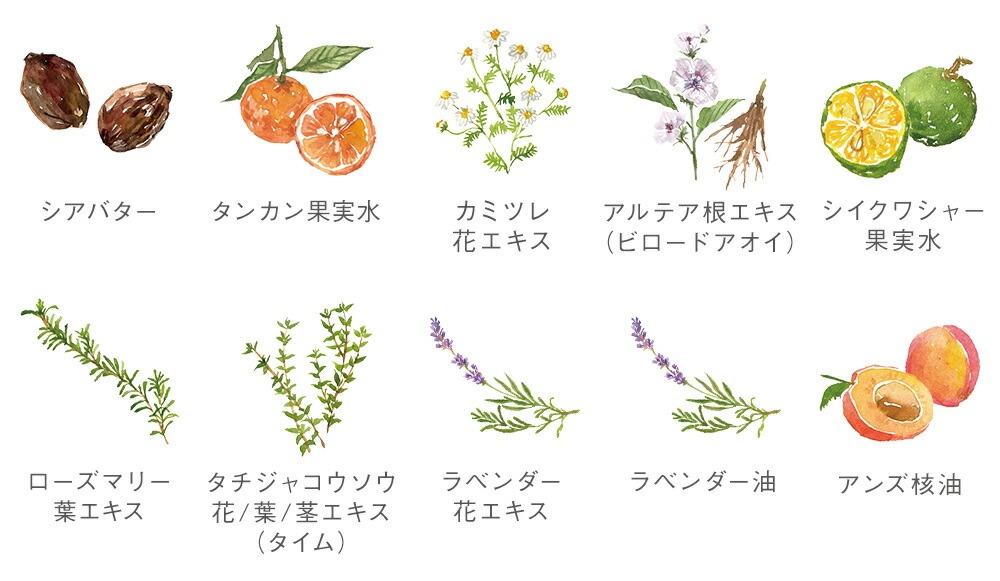 化粧下地 無添加 ママバター ホワイトベースUV 30g オーガニック ナチュラル ノンケミカル 自然 スキンケア 天然 MAMA BUTTER シアバター CCクリーム 保湿 ラベンダー ゼラニウム アロマ