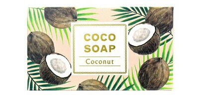 石鹸 無添加 ココウェル cocowell ココソープ 100g 洗顔料 オーガニック 正規品 洗顔石鹸 スキンケア 洗顔 石けん 天然 ナチュラル ノンケミカル 自然
