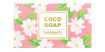 石鹸 無添加 ココウェル cocowell ココソープ 100g 洗顔料 オーガニック 正規品 洗顔石鹸 スキンケア 洗顔 石けん 天然 ナチュラル ノンケミカル 自然