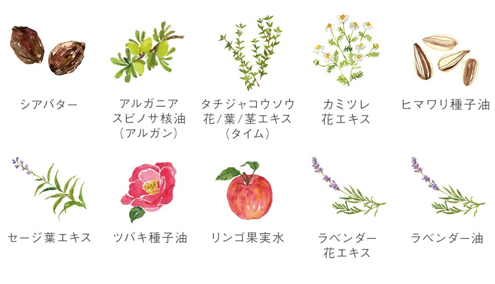 フェイスパウダー 無添加 ママバター フェイスパウダー 7g オーガニック ナチュラル ノンケミカル 自然 スキンケア 天然 MAMA BUTTER おしろい ナチュラルメイク ラベンダー ゼラニウム アロマ 紫外線 ブルーライトカット