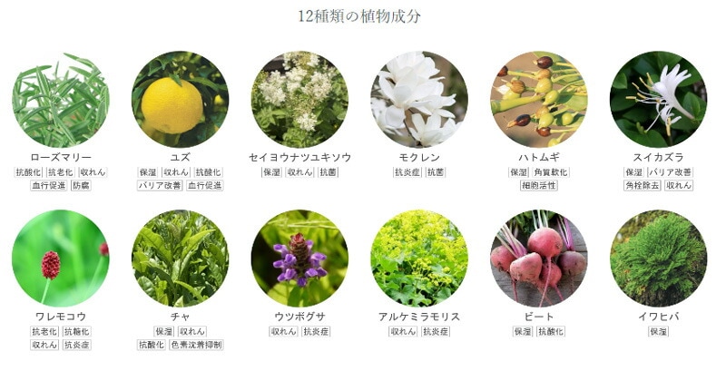化粧水 無添加 リンカ ユズ オーガニック ミストローション 120ml  正規品 天然成分100％ 保湿ローション スキンケア フェイスケア ハマナス ハトムギ アルコールフリー グリセリンフリー 天然 ナチュラル ノンケミカル 自然 さっぱり しっとり RINKA