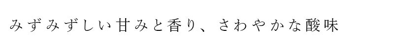 りんご酢 内堀醸造 純りんご酢 500ml 正規品 国内産 保存料 無添加   国産りんご