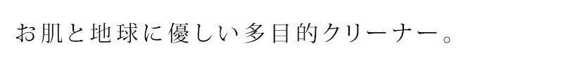 ラ・コルベット サボンノワール・エコロジーブラックソープスプレー750ml 多目的クリーナー オーガニック 無添加 正規品 天然 ナチュラル ノンケミカル 掃除