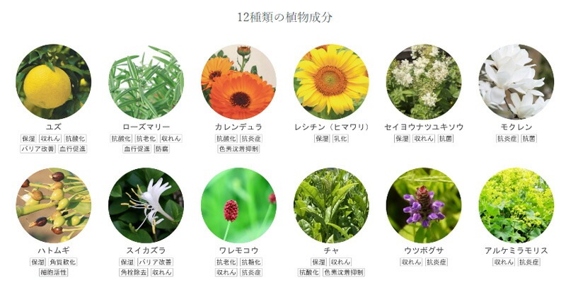 保湿クリーム 無添加 リンカ ユズ オーガニック バームクリーム 45g 正規品 ゆずの香り 天然成分 スキンケア フェイスケア 首・デコルテ・手の甲 アルコール・ グリセリンフリー 天然 ナチュラル ノンケミカル 自然 保湿 収れん 乾燥肌 RINKA