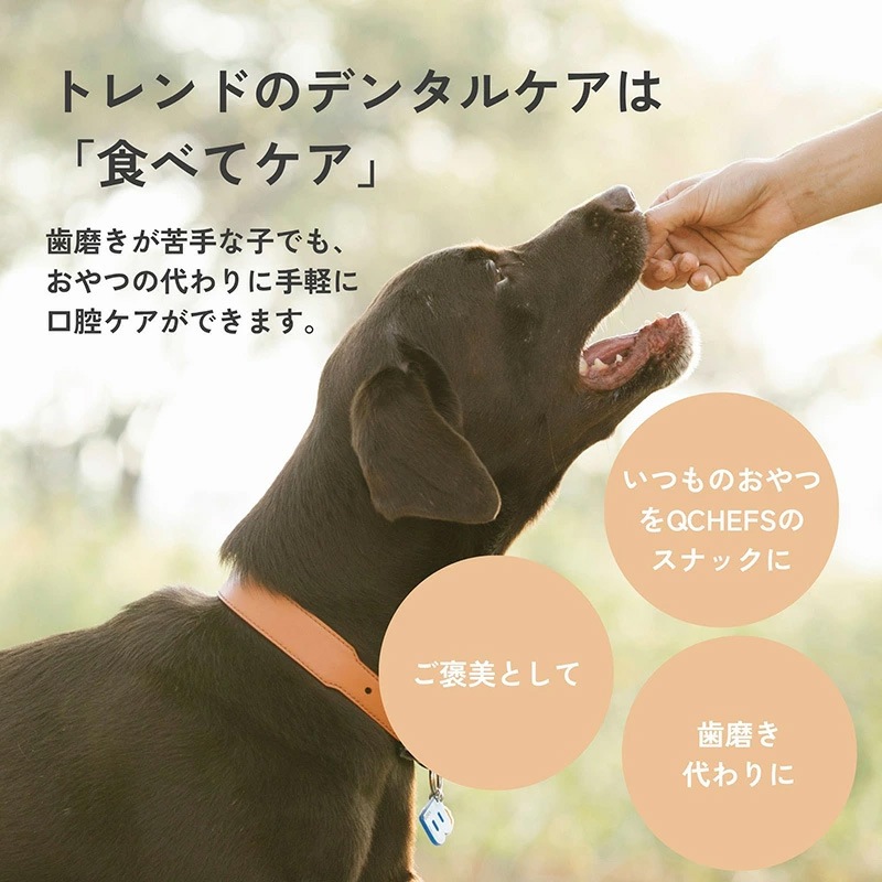 犬用おやつ QCHEFS（キューシェフズ） 犬用デンタルスナック Cheesies チージーズ 65g 無添加 100％天然由来 犬用デンタルケア 歯垢・歯石・口臭ケア 健康 小型犬 老犬 薄焼きスナック グルテン・乳糖不使用 腸内環境サポート
