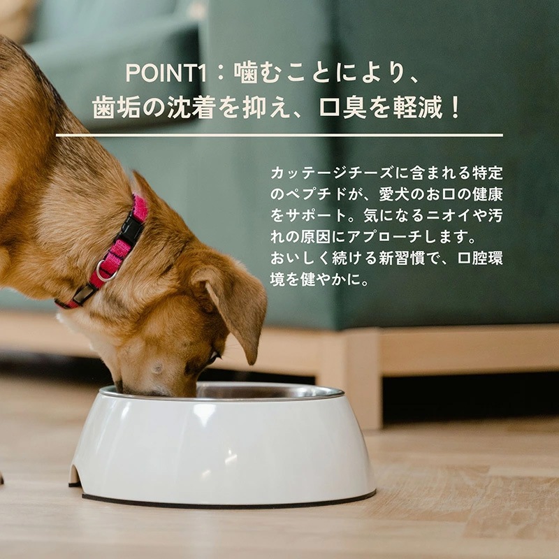 犬用おやつ QCHEFS（キューシェフズ） 犬用デンタルスナック Cheesies チージーズ 65g 無添加 100％天然由来 犬用デンタルケア 歯垢・歯石・口臭ケア 健康 小型犬 老犬 薄焼きスナック グルテン・乳糖不使用 腸内環境サポート