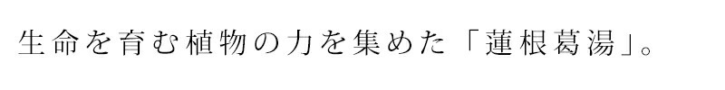 くず マルシマ 国内産 蓮根葛湯 75g(15g×5) 正規品 国内産 保存料 無添加 オーガニック 無農薬 有機   純正食品マルシマ