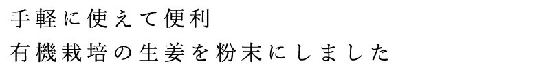 生姜粉末 ムソー 無双 有機生姜末・アルミパック 45g 正規品 有機JAS認定商品 保存料 無添加  遺伝子組み換え原料不使用
