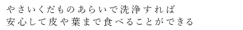食品用洗剤 しぜんのめぐみすい 生鮮食品洗い やさいくだものあらい 200mL 無添加 正規品 野菜洗い 果物洗い 肉洗い 天然 ナチュラル ノンケミカル 自然