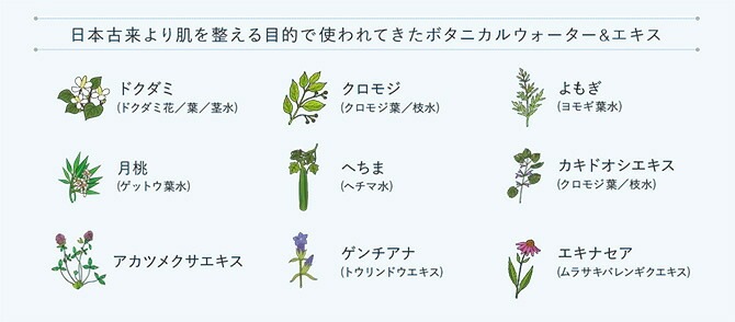 化粧水 ブルーメエデナ ジャパニーズハーバルスキンローション 100mL オーガニック 無添加 正規品 ローション スキンケア ノンケミカル どくだみ ゆらぎ肌 トラブル肌