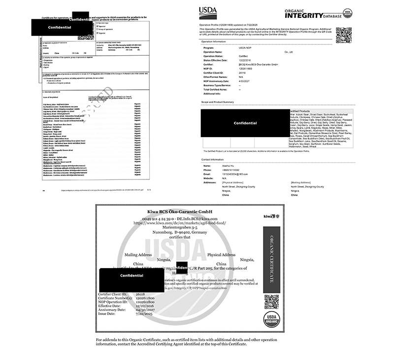 なつめ 無農薬 保存料 無添加 むぎごころのオーガニック大玉なつめ 500g オーガニック  自然  ドライフルーツ 薬膳 