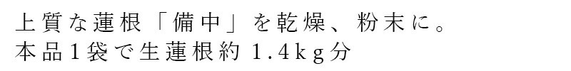 れんこんパウダー 創健社 熊本県産蓮根粉 80g 正規品 保存料 無添加 動物性原料不使用 れんこん粉末 備中種 早生種
