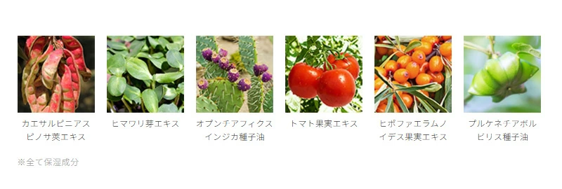 【リキッドリーファンデ102 サンプルプレゼント】UVフェイスパウダー MiMC ナチュラルエイジングケアミネラルパウダーサンスクリーンSPF50+PA++++ 7g 正規品 日本製 ミネラルファンデ 植物エキス配合 毛穴カバー 透明感 UVカット エムアイエムシー