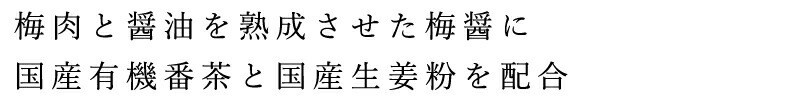 梅干番茶 ムソー 国産生姜入り梅干番茶・スティック 8g×20 正規品   保存料 無添加