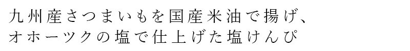ケース販売 いもけんぴ ノースカラーズ 純国産塩けんぴ 100g×16袋 正規品 国内産 保存料 無添加   遺伝子組み換え原料不使用 NorthColors 北海道産 国産米油