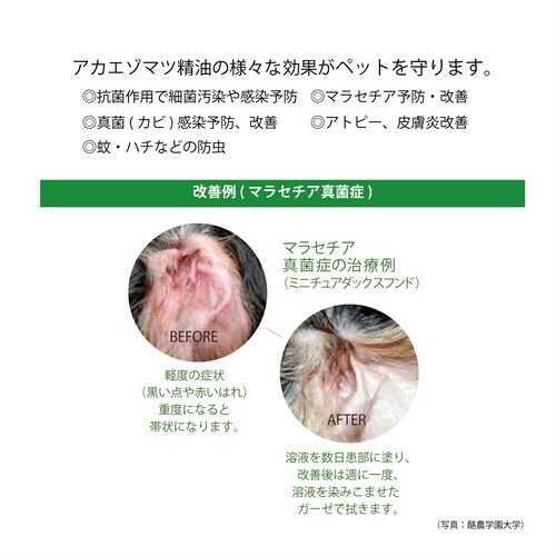 化粧水 無添加 むぎごころのシナチン・トップ1%配合 化粧水 100ml オーガニック ナチュラル 自然 天然 羊毛 たんぱく質 肌 髪 爪 ローション スキンケア タンパク質