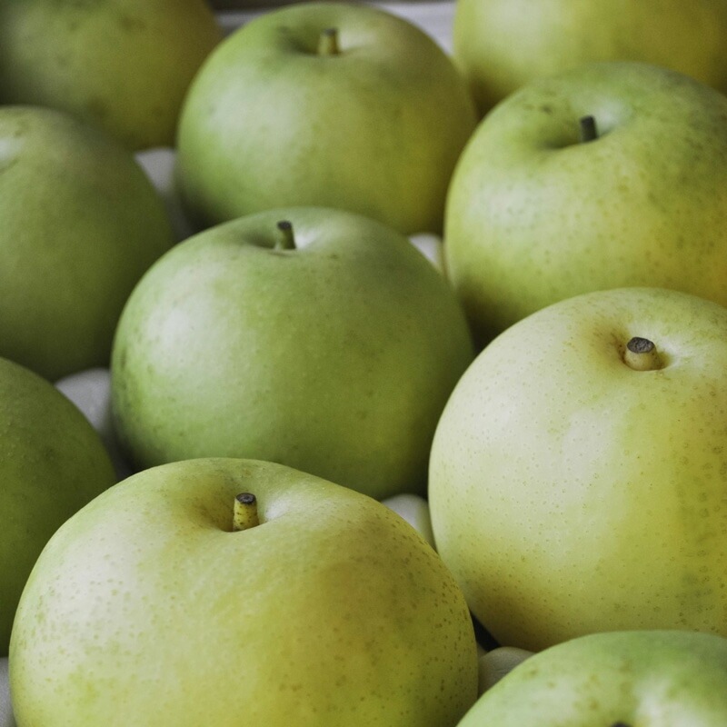 飲む酢 my Honey マイハニービネガーモクテル 300ml 正規品 日本製 ハンガリー産アカシアはちみつ 非加熱生はちみつ 砂糖不使用 梨酢 鳥取県産二十世紀梨 SDGs 美容 健康 フルーツビネガー マイハニー