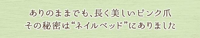 ネイル オイル 無添加 アンドネイル ネイルベッドオイル 10ml 爪先オイル オーガニック 正規品 ネイルケア 爪 ネイル キューティクルオイル 天然 ナチュラル ノンケミカル 自然 石澤研究所 ネイルオイル