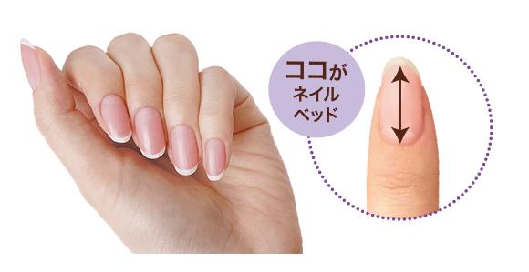 ネイル オイル 無添加 アンドネイル ネイルベッドオイル 10ml 爪先オイル オーガニック 正規品 ネイルケア 爪 ネイル キューティクルオイル 天然 ナチュラル ノンケミカル 自然 石澤研究所 ネイルオイル