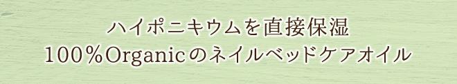 ネイル オイル 無添加 アンドネイル ネイルベッドオイル 10ml 爪先オイル オーガニック 正規品 ネイルケア 爪 ネイル キューティクルオイル 天然 ナチュラル ノンケミカル 自然 石澤研究所 ネイルオイル