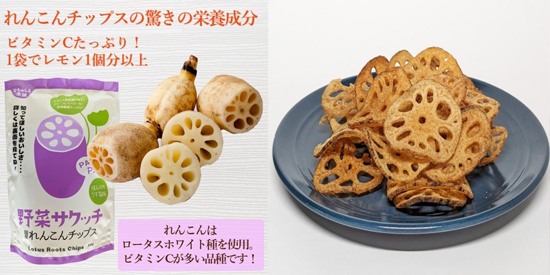 野菜チップス なちゅらる生活 野菜サクッチ・野菜チップス 食べきりサイズ 19g 正規品 国内産 保存料 無添加  米油使用 サクサク パリパリ お子様おやつ 健康おやつ ヘルシー 真空フライ うす塩味