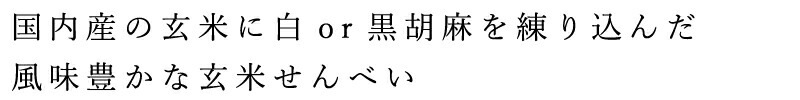 玄米せんべい 創健社 手造り農場 玄米せんべい 100g 正規品 国内産   保存料 無添加