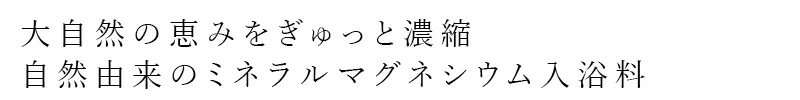 入浴料 だいじょうぶなもの マグネシウム バス サプリメント 100g 購入金額別特典あり 正規品 自然由来 ミネラルマグネシウム 入浴剤